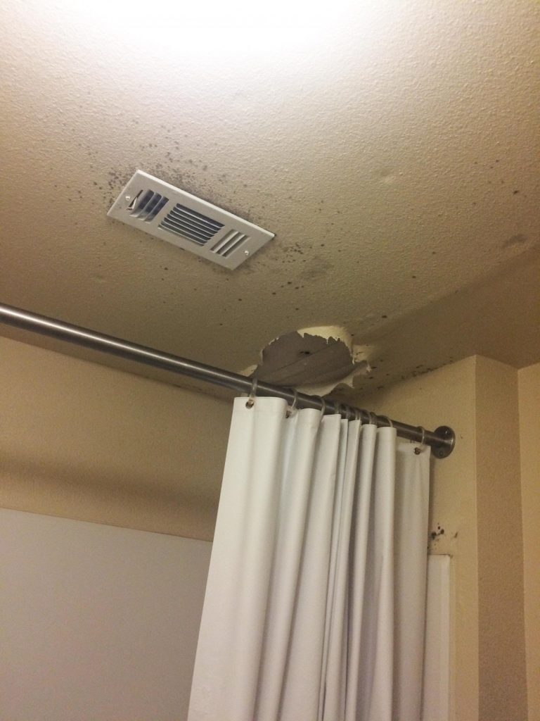Photo courtesy of Laura Brunden. Mold forms around damaged ceiling in the West Village apartments. 