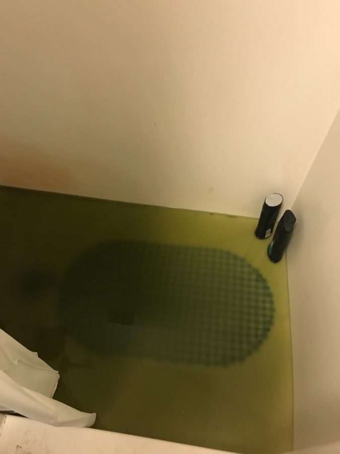 Green liquid appears inside Ryan Simons shower.
Photo contributed by Ryan Simon