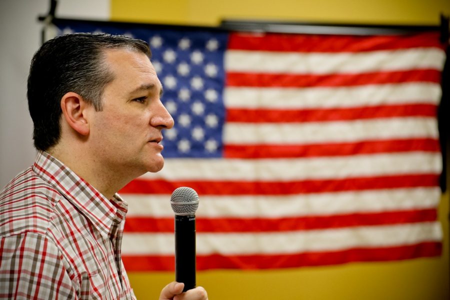Rambler content producer David Cason said he voted for Ted Cruz because he wants his Second Amendment rights protected and he wants tighter immigration laws to keep criminals out of the country. 
Photo courtesy of Pixabay.com 
