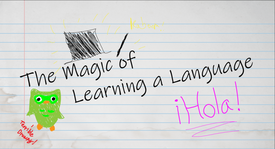 The+Magic+of+Learning+a+Language%3A+Why+I+Love+a+Little+Owl