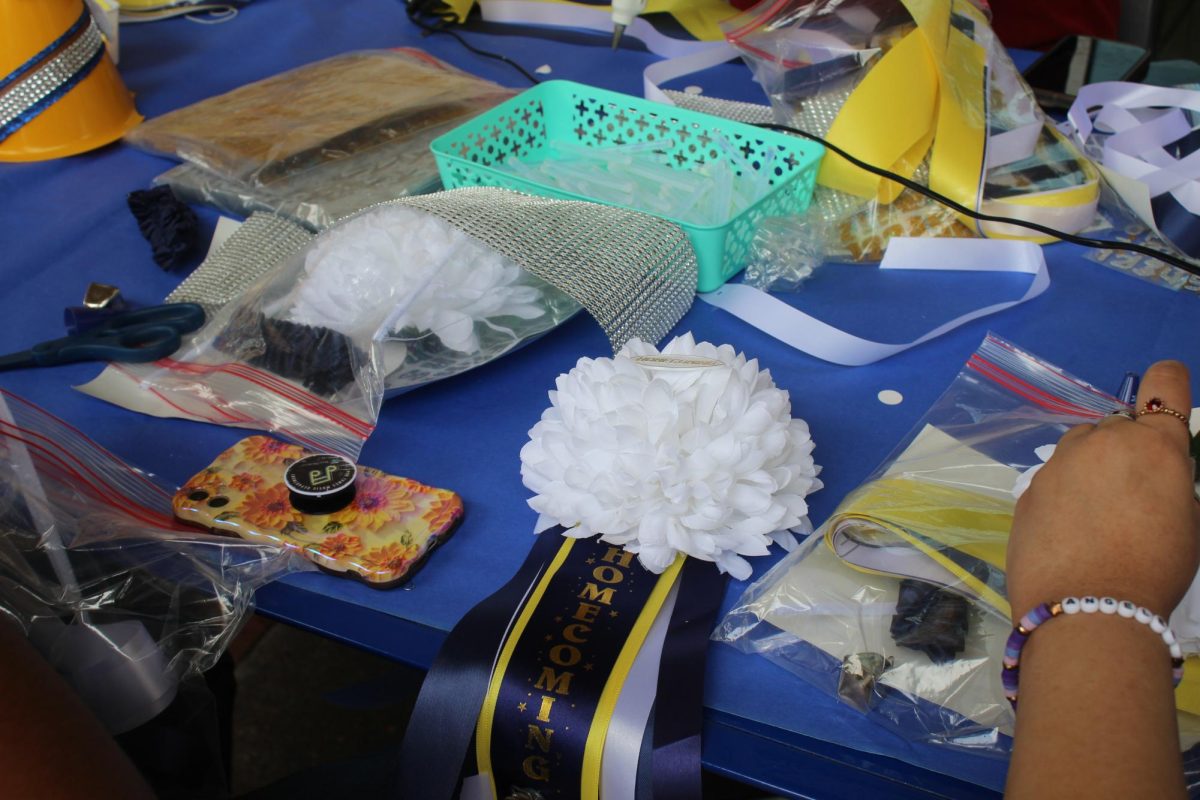 In addition to the basic packages provided, optional materials were given to students to personalize their crafts. 